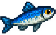 Sardina