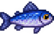 Aringa