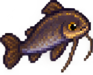 Pesce gatto