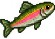Trota arcobaleno